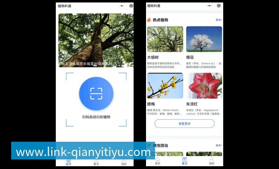 植物科普扫码系统