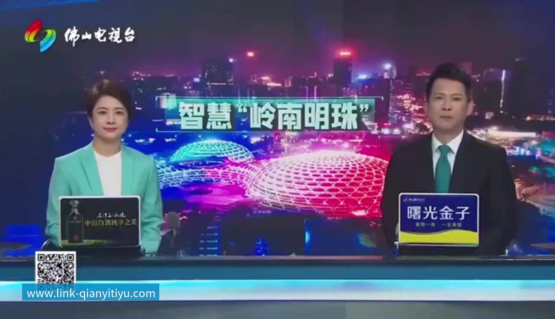 岭南明珠案例（封面）.mp4
